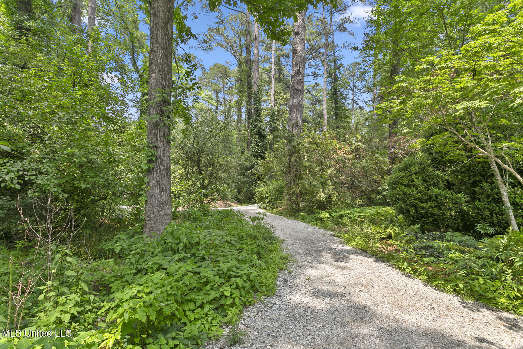 106 Meadowbrook North Jackson, MS 39211 - Photo 60 of 71 Meadowbrook Highlands