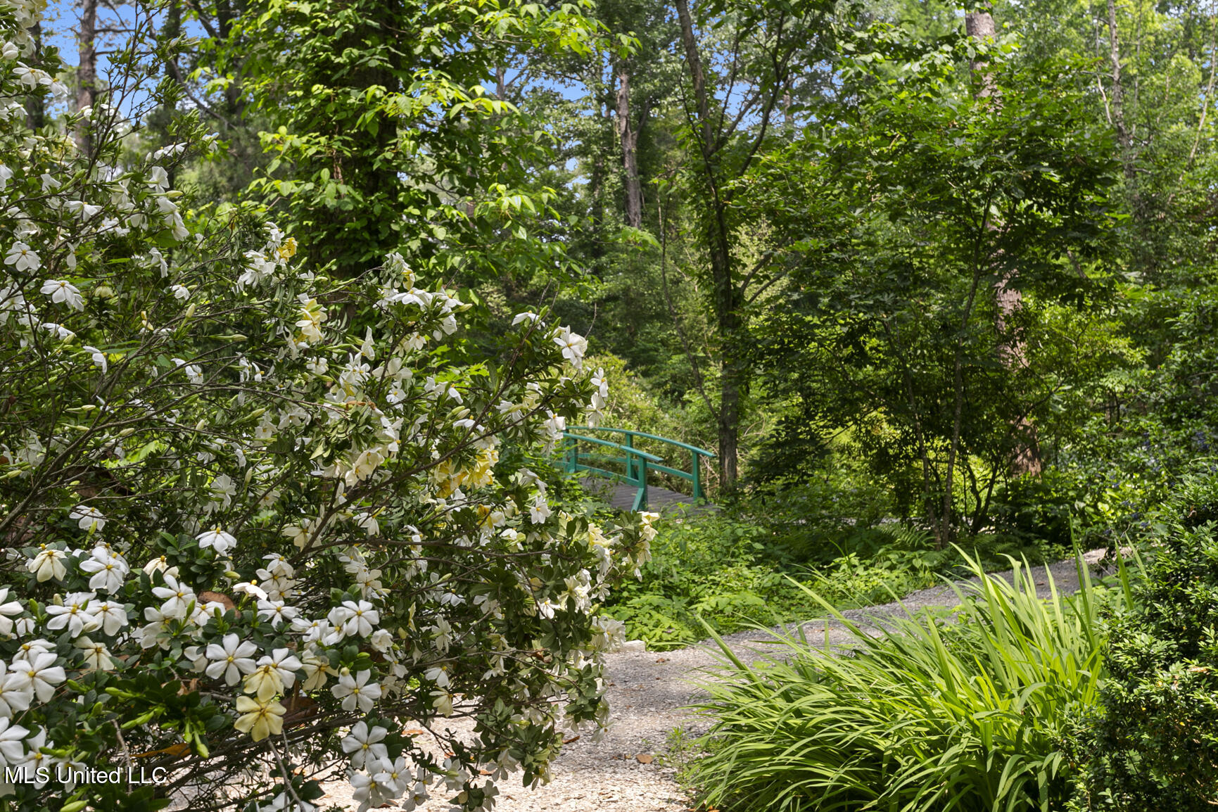 106 Meadowbrook North Jackson, MS 39211 - Photo 61 of 71 Meadowbrook Highlands