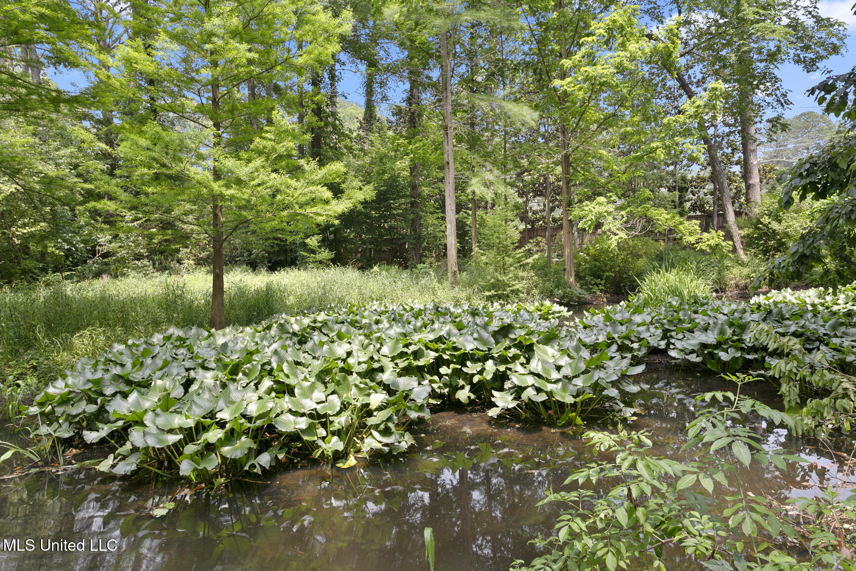 106 Meadowbrook North Jackson, MS 39211 - Photo 62 of 71 Meadowbrook Highlands