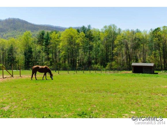 142 Wilson Cove Road Swannanoa, NC 28778 - Photo 8 of 10 Gallery Image 8