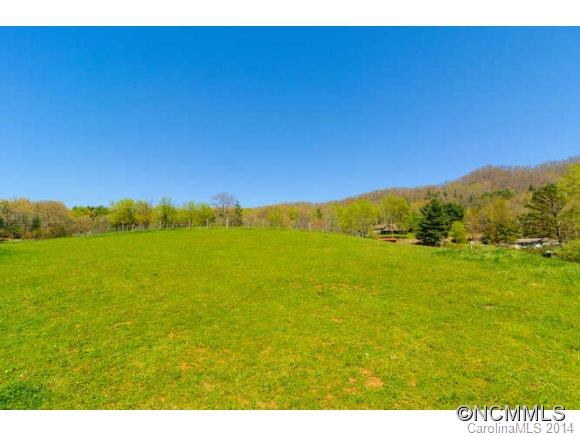 142 Wilson Cove Road Swannanoa, NC 28778 - Photo 10 of 10 Gallery Image 10