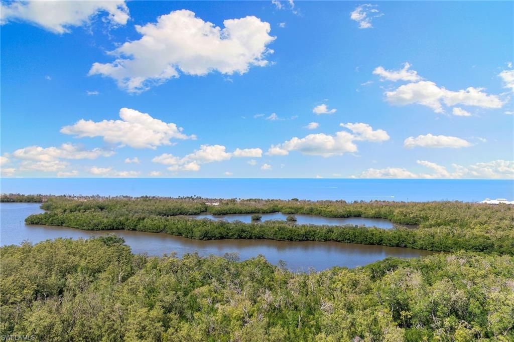 6897 Grenadier Boulevard, Unit 1202 Naples, FL 34108 - Photo 39 of 50 a view of lake with mountain