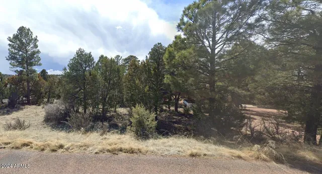 $149,900 | 2223 Fairway Drive, Unit 16, Overgaard, AZ 85933