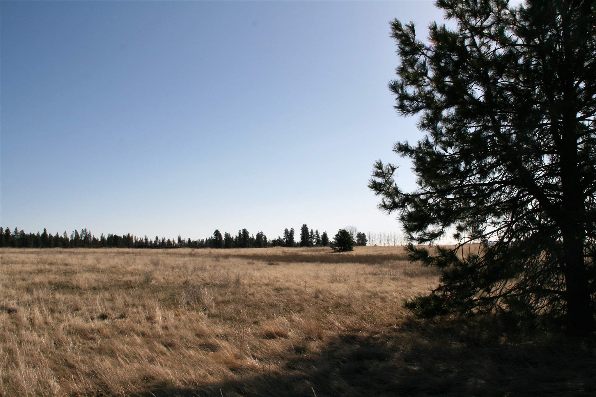 20-x1 North Hayford Road Spokane, WA 99224 - Photo 4 of 7 Gallery Image 4