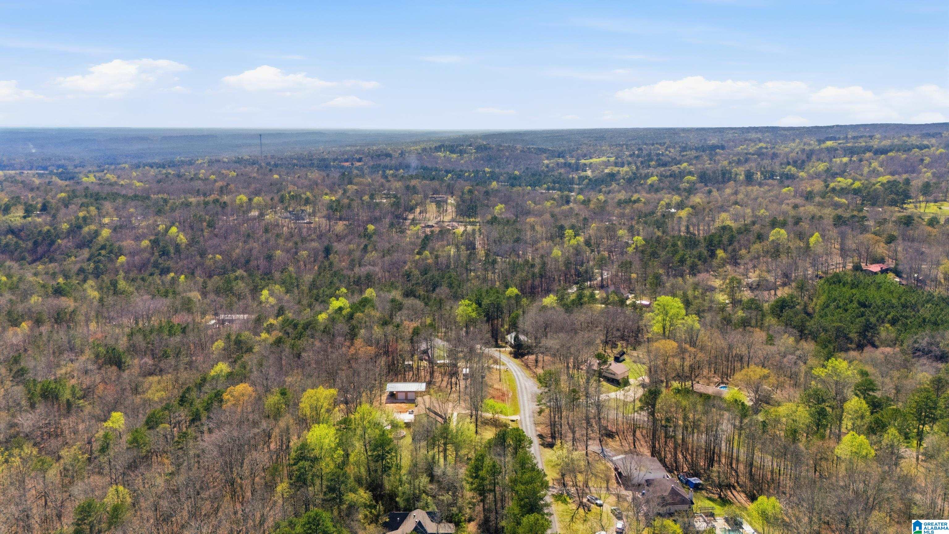 270 Ridge Trail Warrior, AL 35180 - Photo 61 of 61