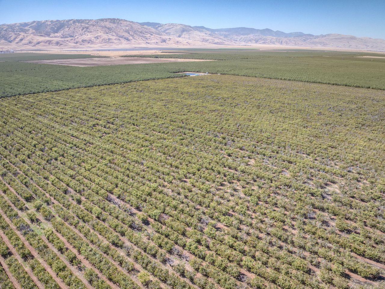 0 Laval Road Arvin, CA 93203 - Photo 2 of 5