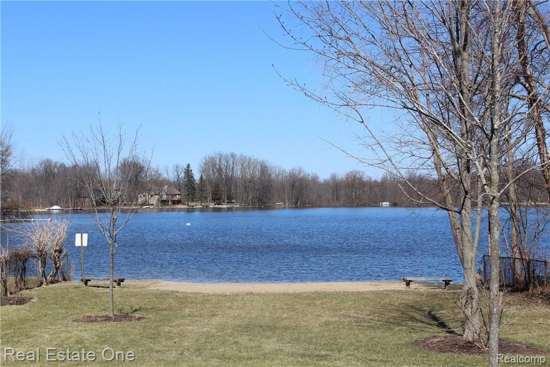 3875 Balmony Road Commerce Township, MI 48382 - Photo 50 of 52 IMG_0246.JPG