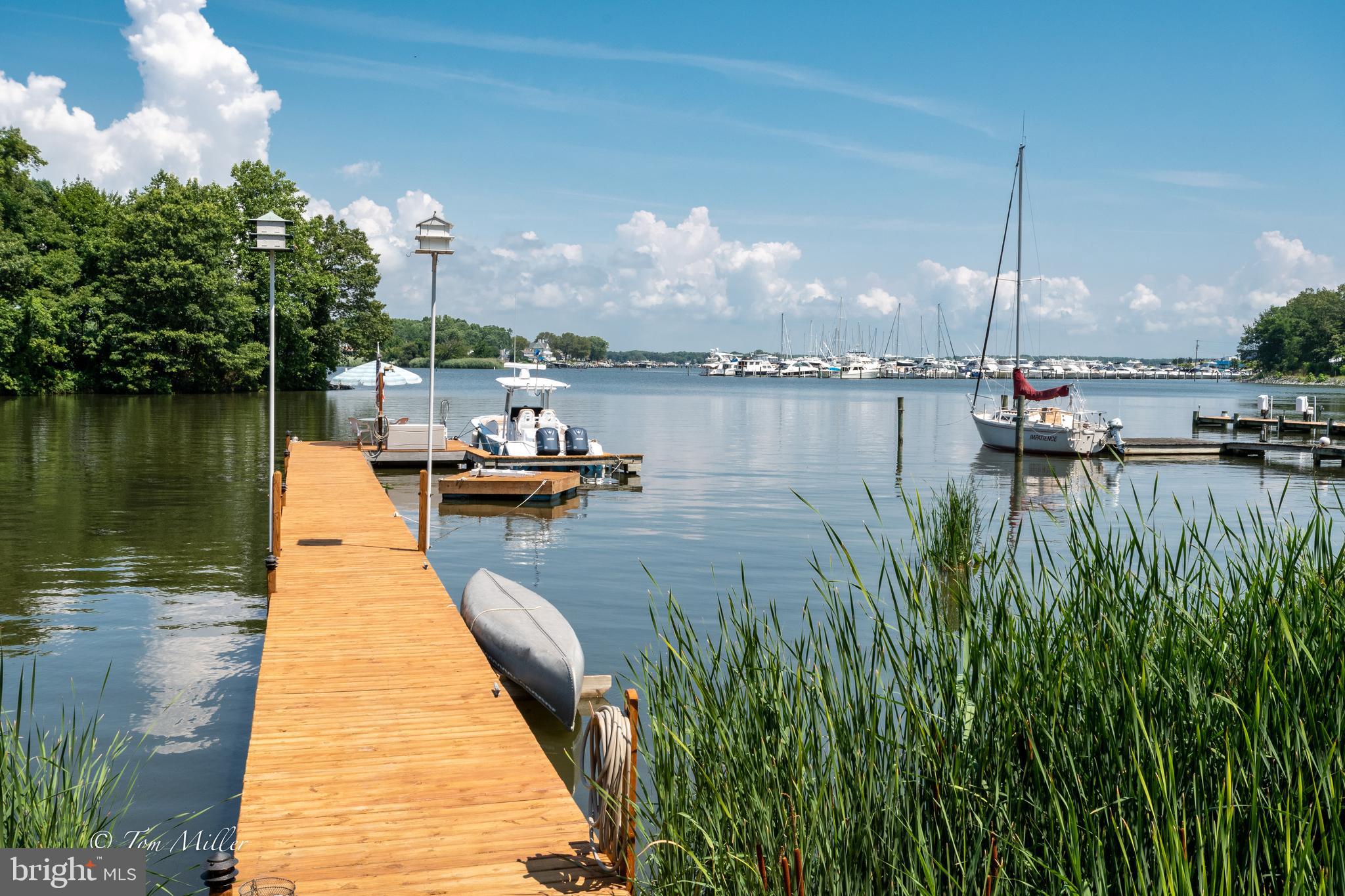 813 Cedar Grove Road Baltimore, MD 21221 - Photo 1 of 65 118' pier w/16'W x 13' "L"