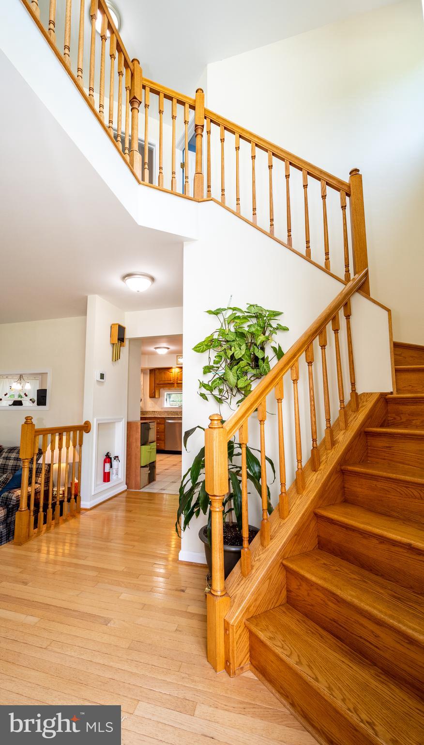 813 Cedar Grove Road Baltimore, MD 21221 - Photo 19 of 65 Hardwood floors in the Foyer and Stairway