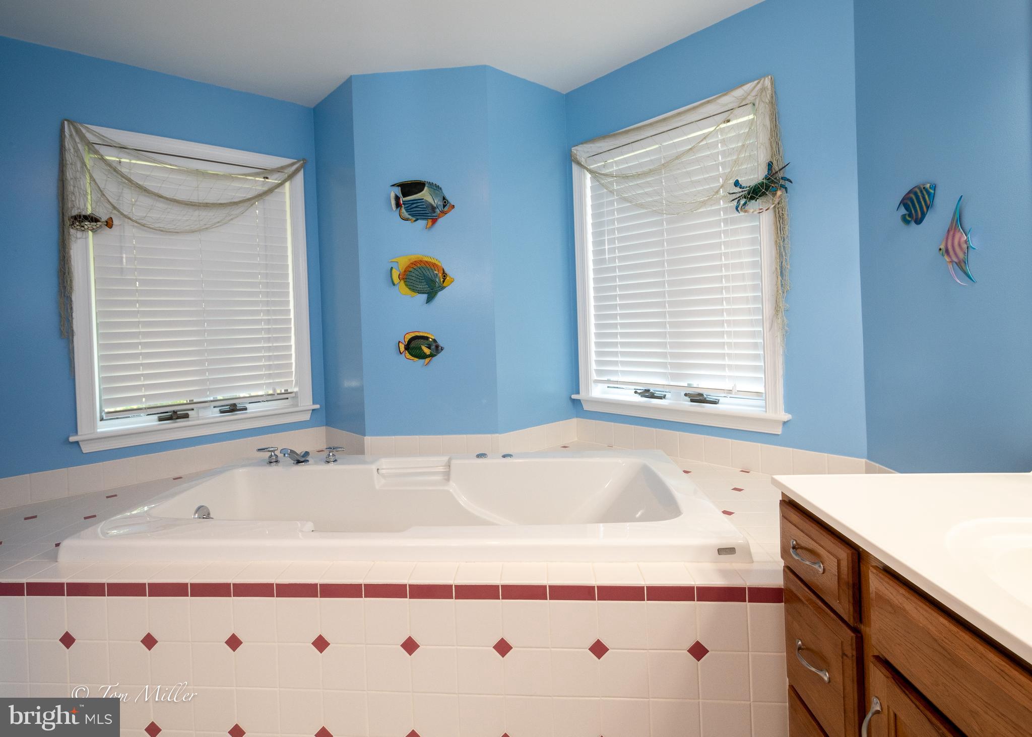 813 Cedar Grove Road Baltimore, MD 21221 - Photo 26 of 65 Upper-level Jacuzzi Tub
