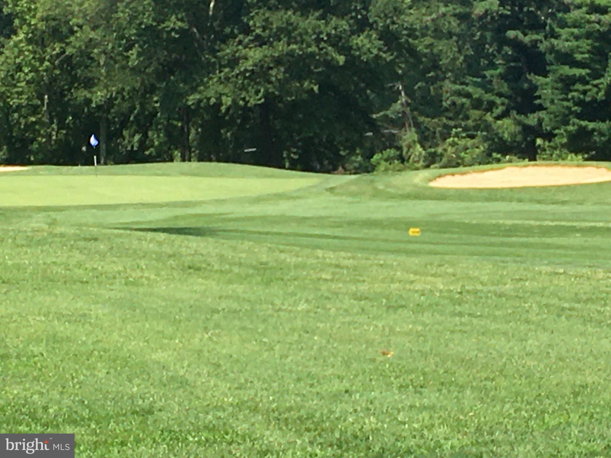 813 Cedar Grove Road Baltimore, MD 21221 - Photo 61 of 65 Play a round of golf!