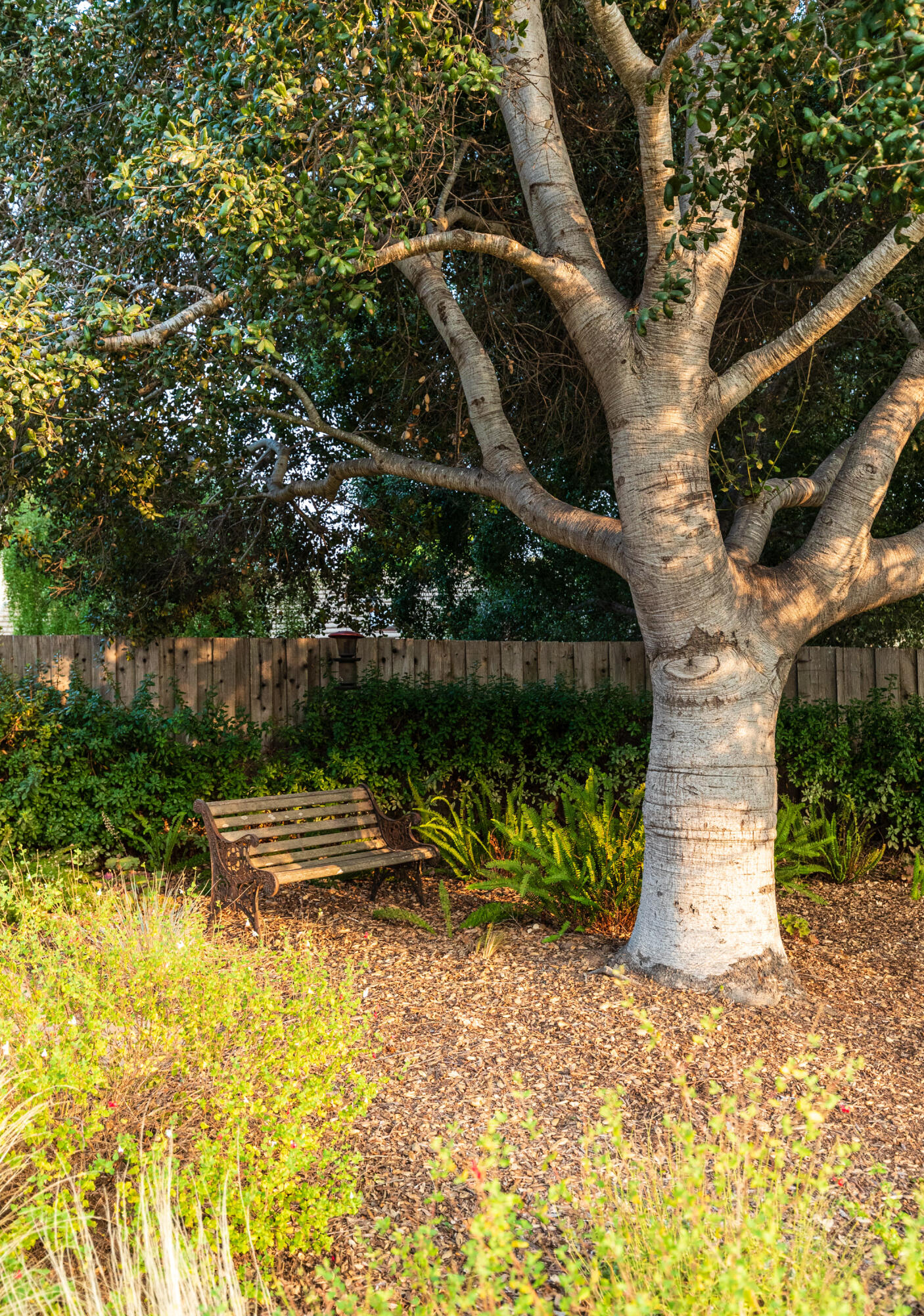 352 Nykobing Solvang, CA 93463 - Photo 25 of 27 a view of a bench in the garden