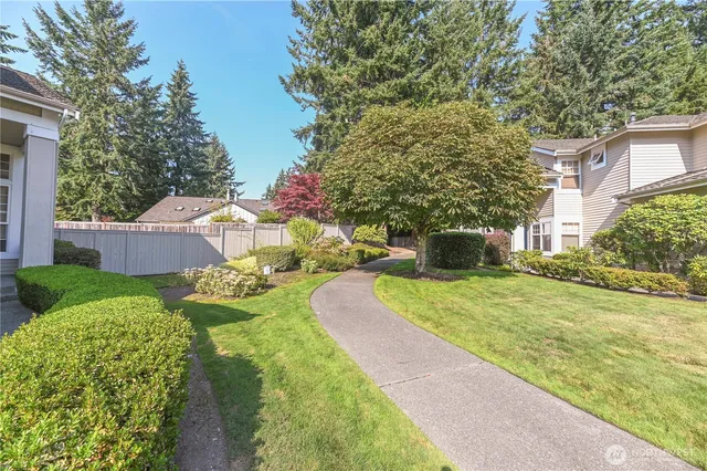 a view of a garden with pathway