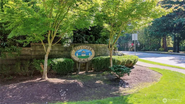 a view of a park with a tree