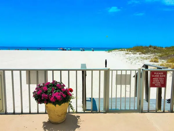 $3,900 | 5000 Gulf Boulevard, Unit 303, St. Petersburg, FL 33706