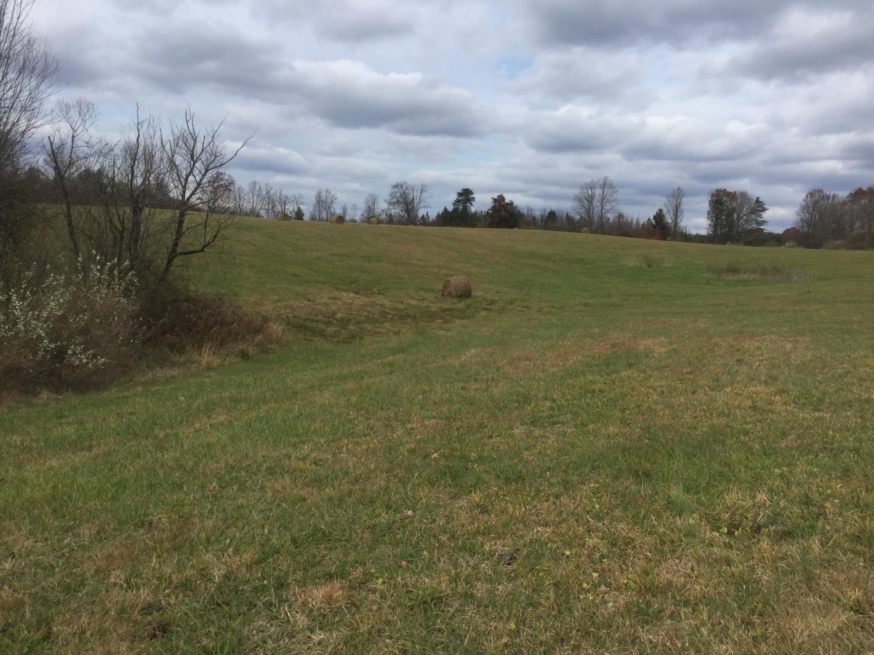 103 Freemont Road Tracy City, TN 37387 - Photo 5 of 10 1DB8BB0E-8ECA-459F-8AA1-5B7B7CCFEF5C