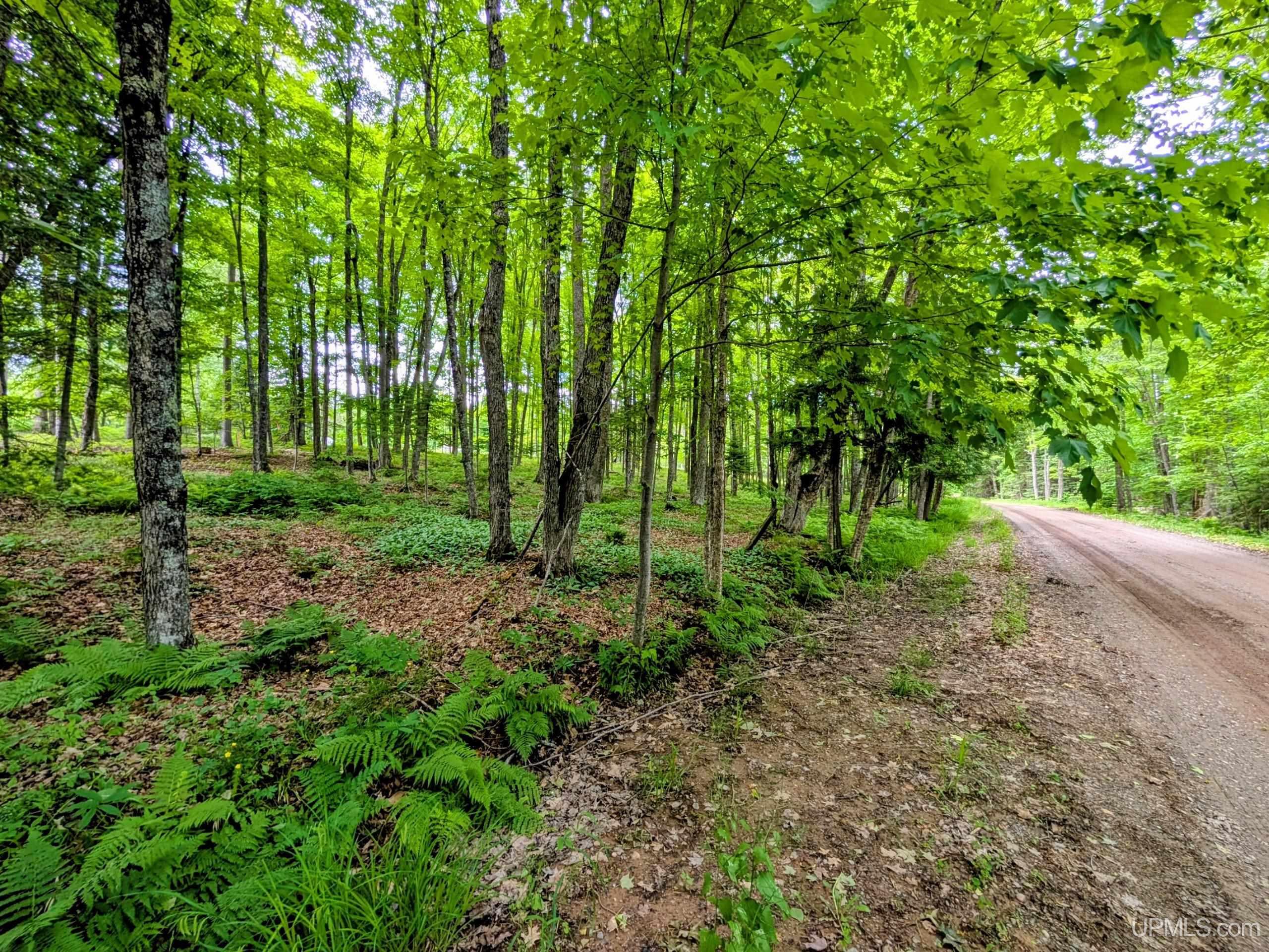 104 Forsberg Road Iron River, MI 49935 - Photo 24 of 34