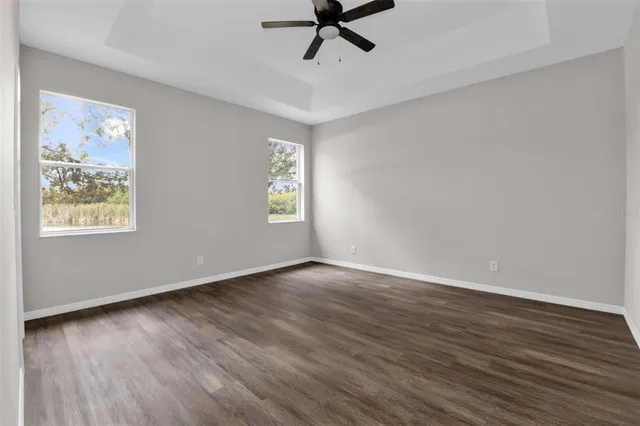 a view of an ocean with a large tree