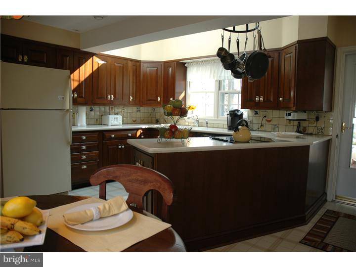 537 Mount View Road Berwyn, PA 19312 - Photo 7 of 17 Kitchen