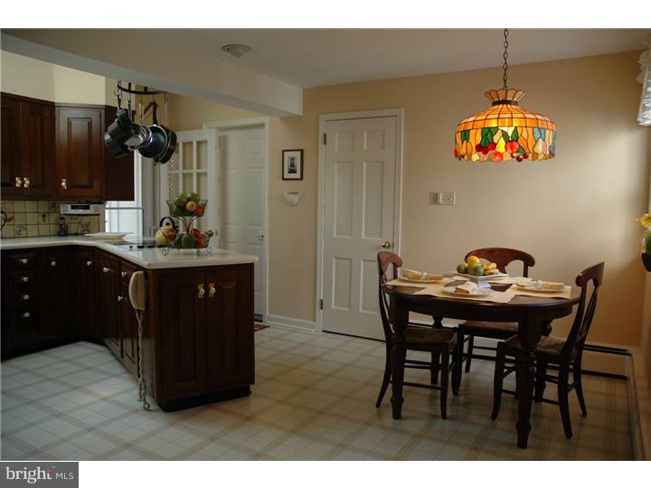 537 Mount View Road Berwyn, PA 19312 - Photo 8 of 17 Kitchen