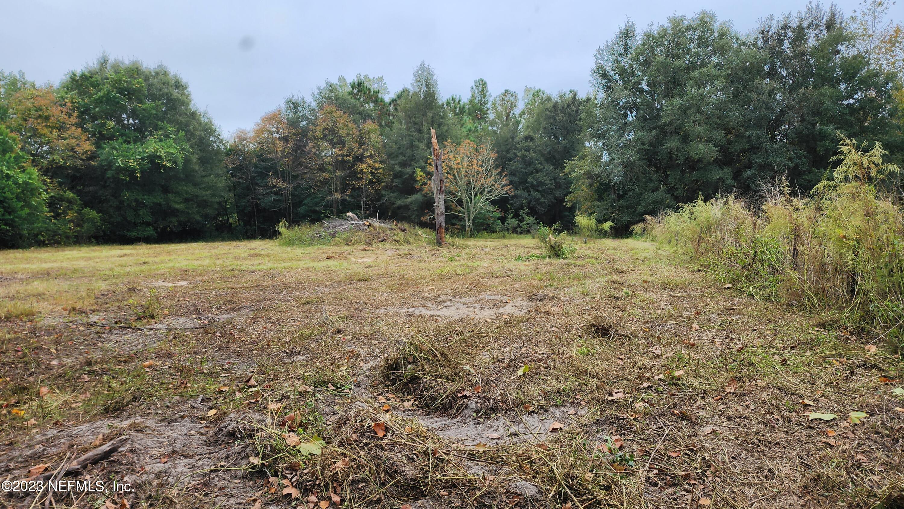 4185 Bronco Road Middleburg, FL 32068 - Photo 47 of 62 20221029_152232