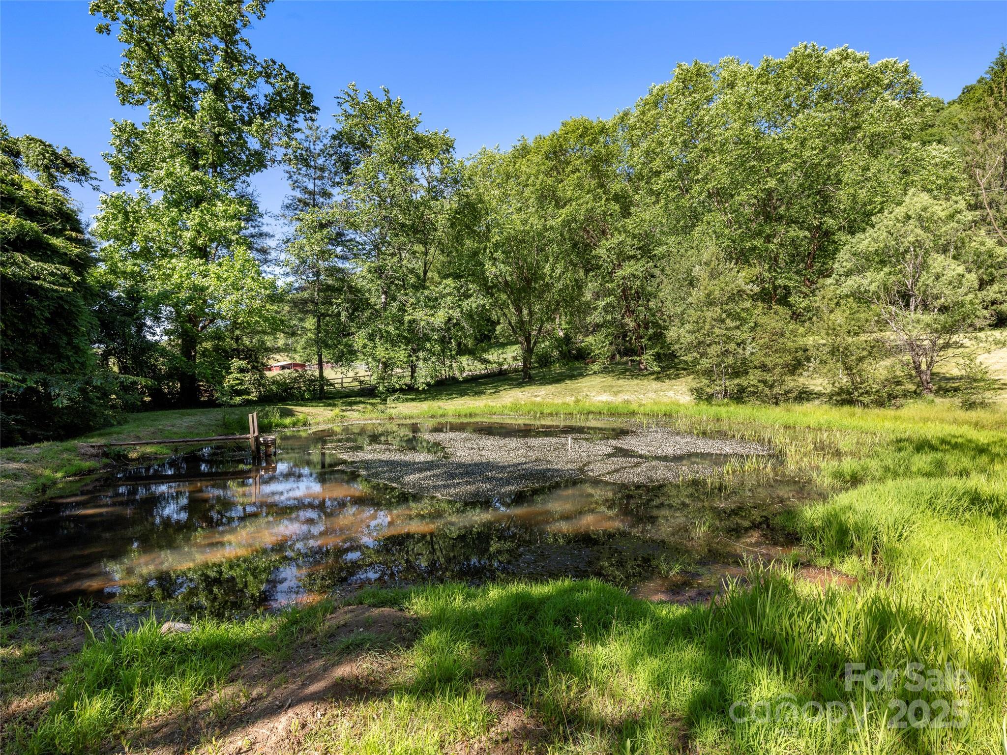 272 Pinners Cove Road Asheville, NC 28803 - Photo 19 of 22 Gallery Image 19