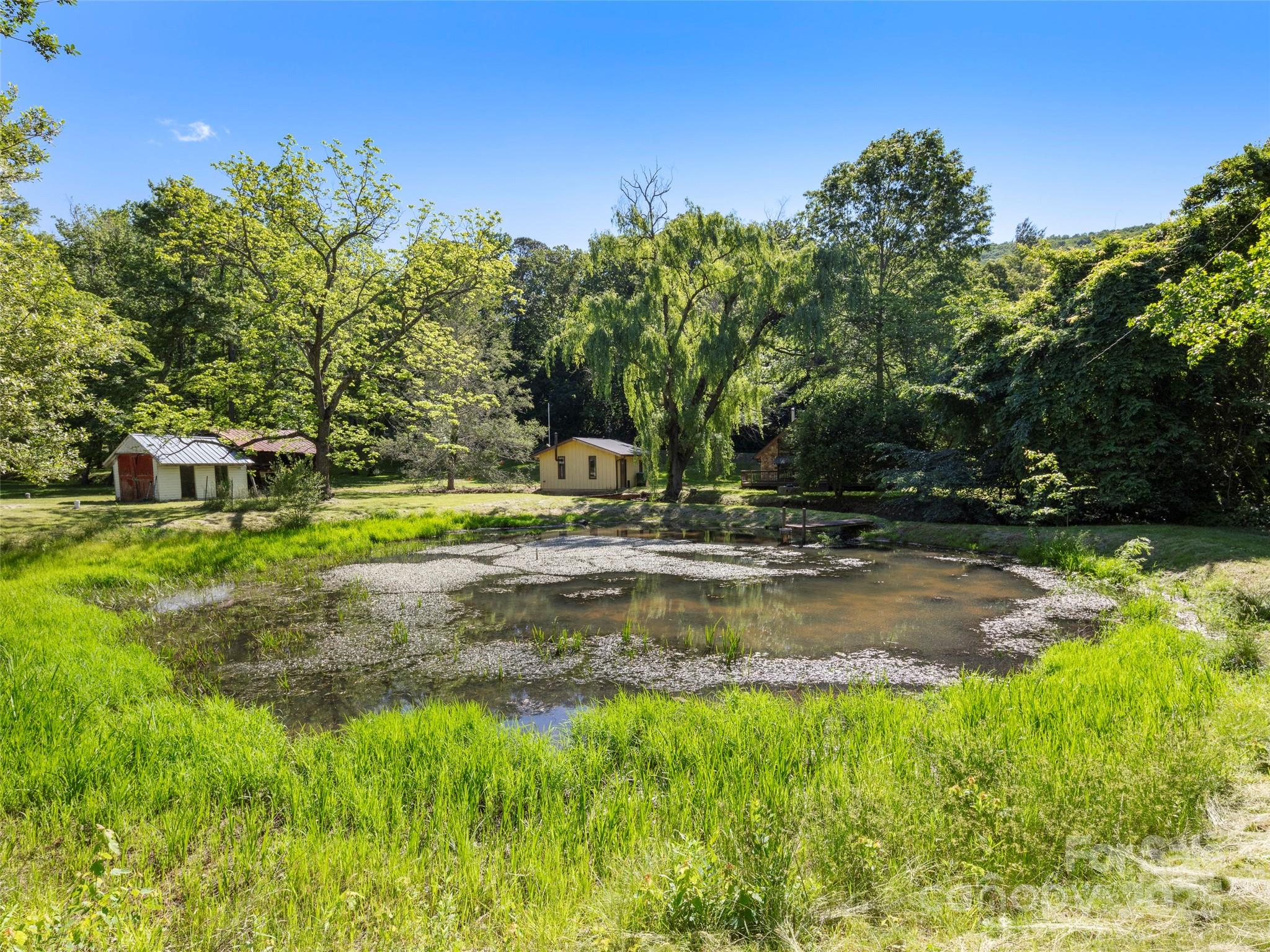 272 Pinners Cove Road Asheville, NC 28803 - Photo 3 of 22 Gallery Image 3