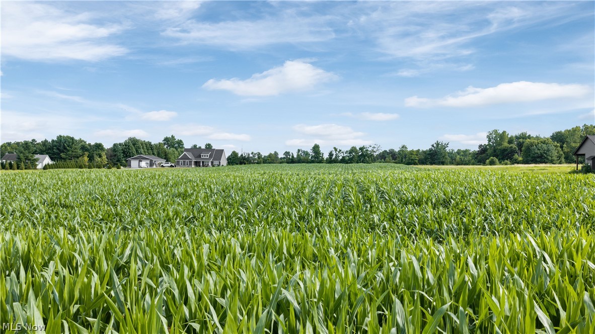Old Mill Road Spencer, OH 44275 - Photo 4 of 11 Gallery Image 4