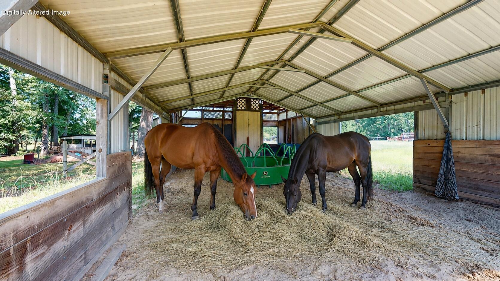130 Loman Road Sumter, SC 29150 - Photo 100 of 102 Horses feeding AI Generated