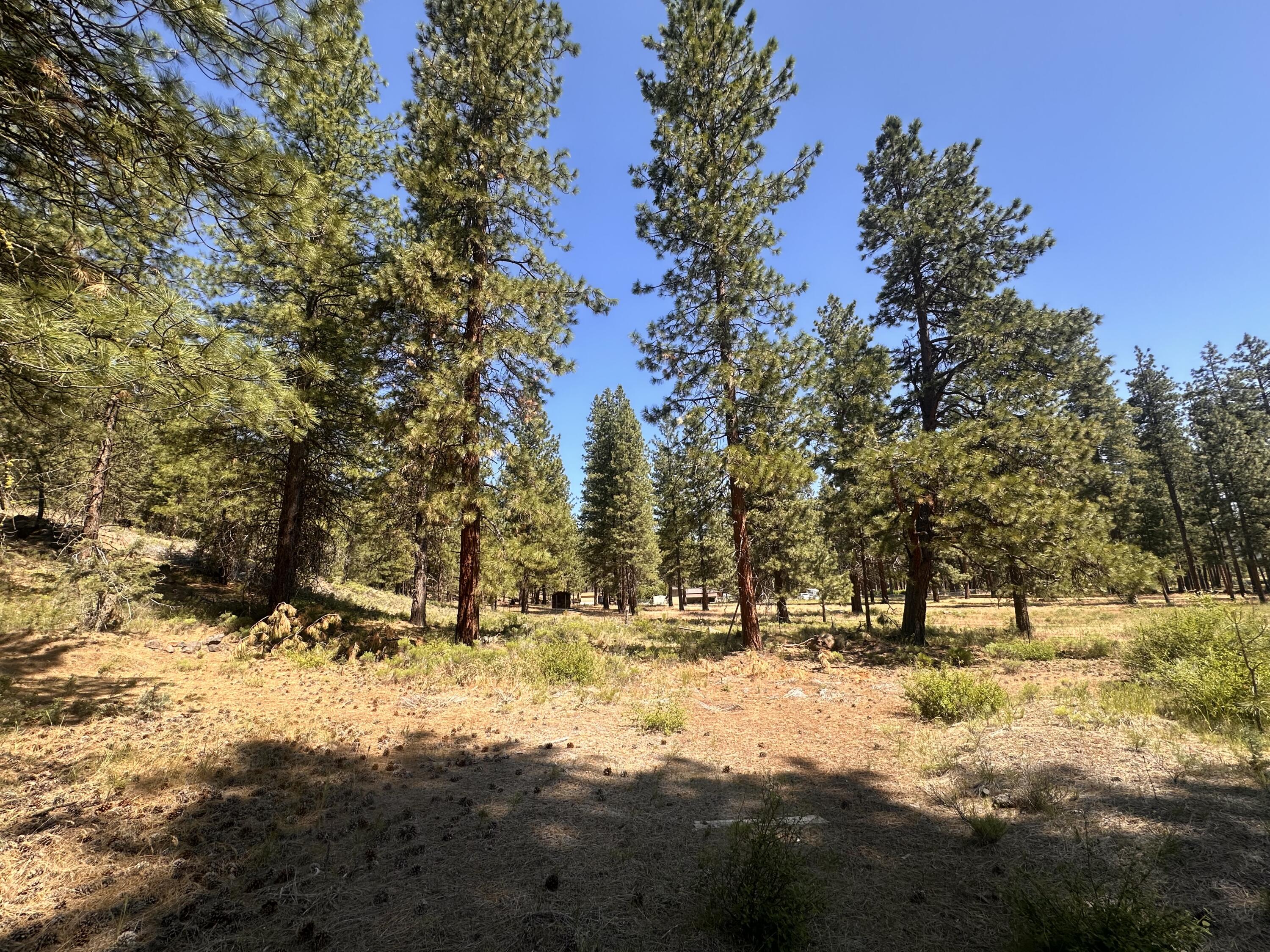 8022 School House Road Dorris, CA 96023 - Photo 5 of 11 IMG_4477