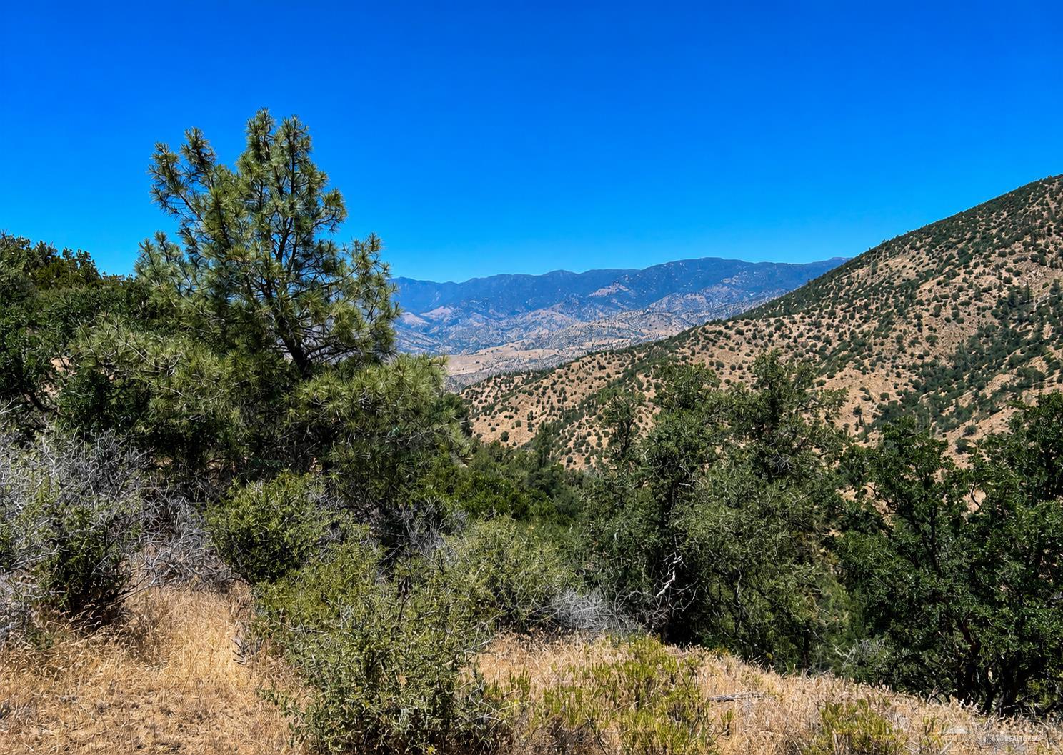 0 High Ridge Road Caliente, CA 00000 - Photo 1 of 7 Gallery Image 1