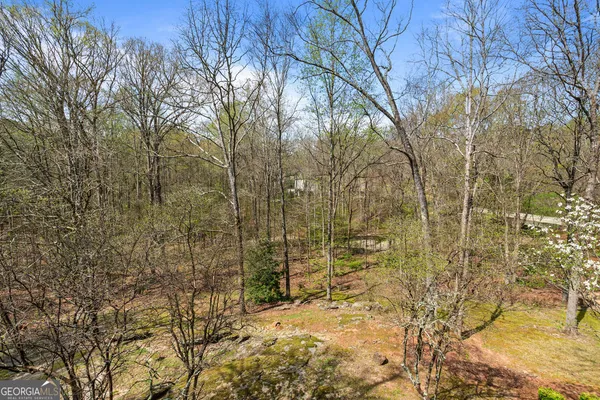 $1,295,000 | 1116 Astoria Lane, Peachtree City, GA 30269