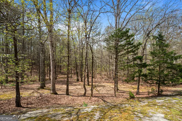 $1,295,000 | 1116 Astoria Lane, Peachtree City, GA 30269