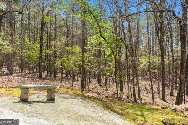 $1,295,000 | 1116 Astoria Lane, Peachtree City, GA 30269