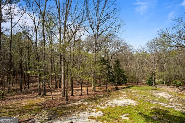 $1,295,000 | 1116 Astoria Lane, Peachtree City, GA 30269