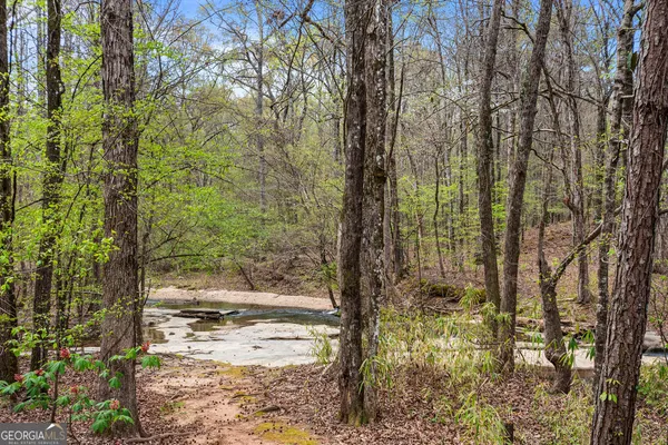 $1,295,000 | 1116 Astoria Lane, Peachtree City, GA 30269