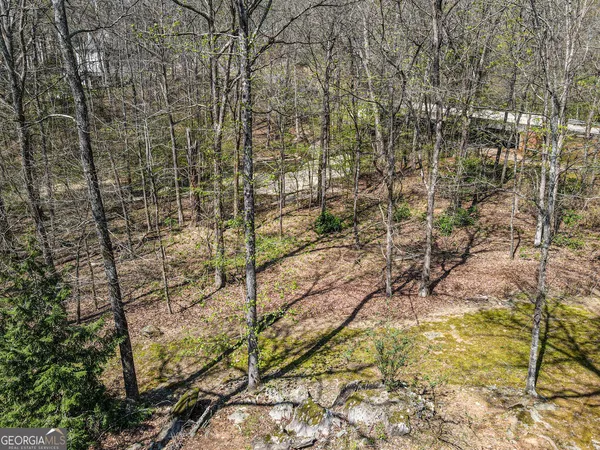 $1,295,000 | 1116 Astoria Lane, Peachtree City, GA 30269