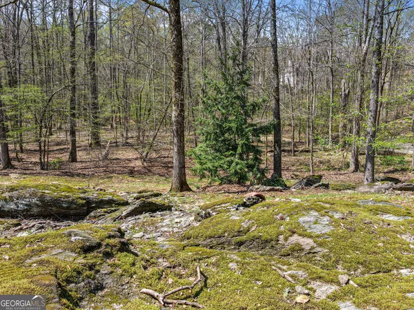 $1,295,000 | 1116 Astoria Lane, Peachtree City, GA 30269