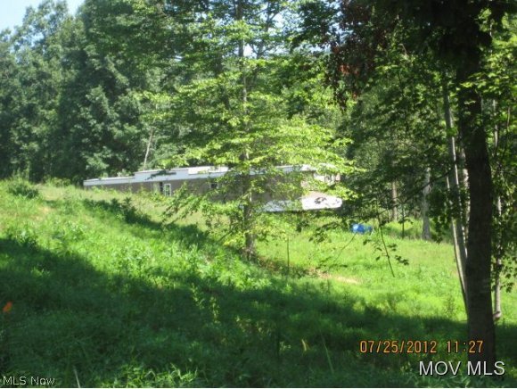 0 Cunningham Run Road Pennsboro, WV 26415 - Photo 4 of 7