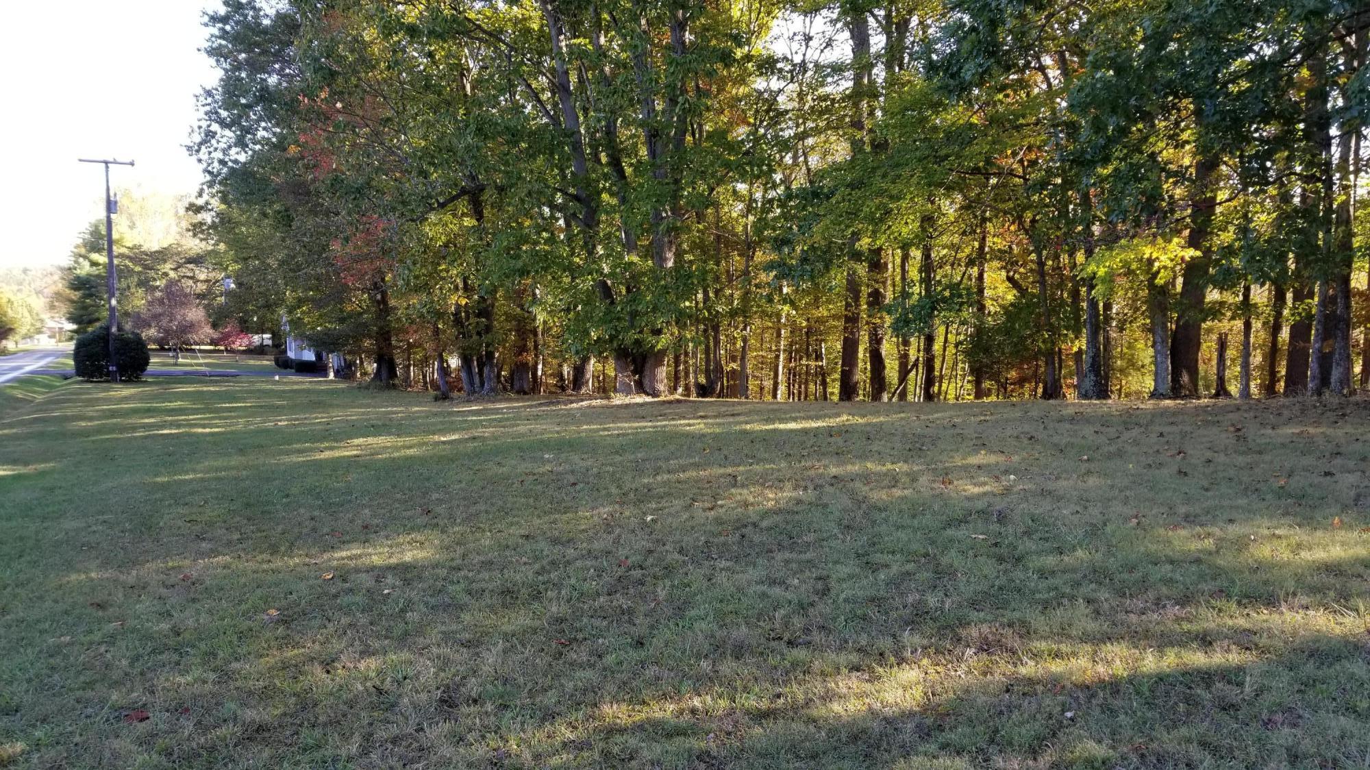 Lot 4 Middle Valley Road Hardy, VA 24101 - Photo 10 of 26 a view of a park with large trees