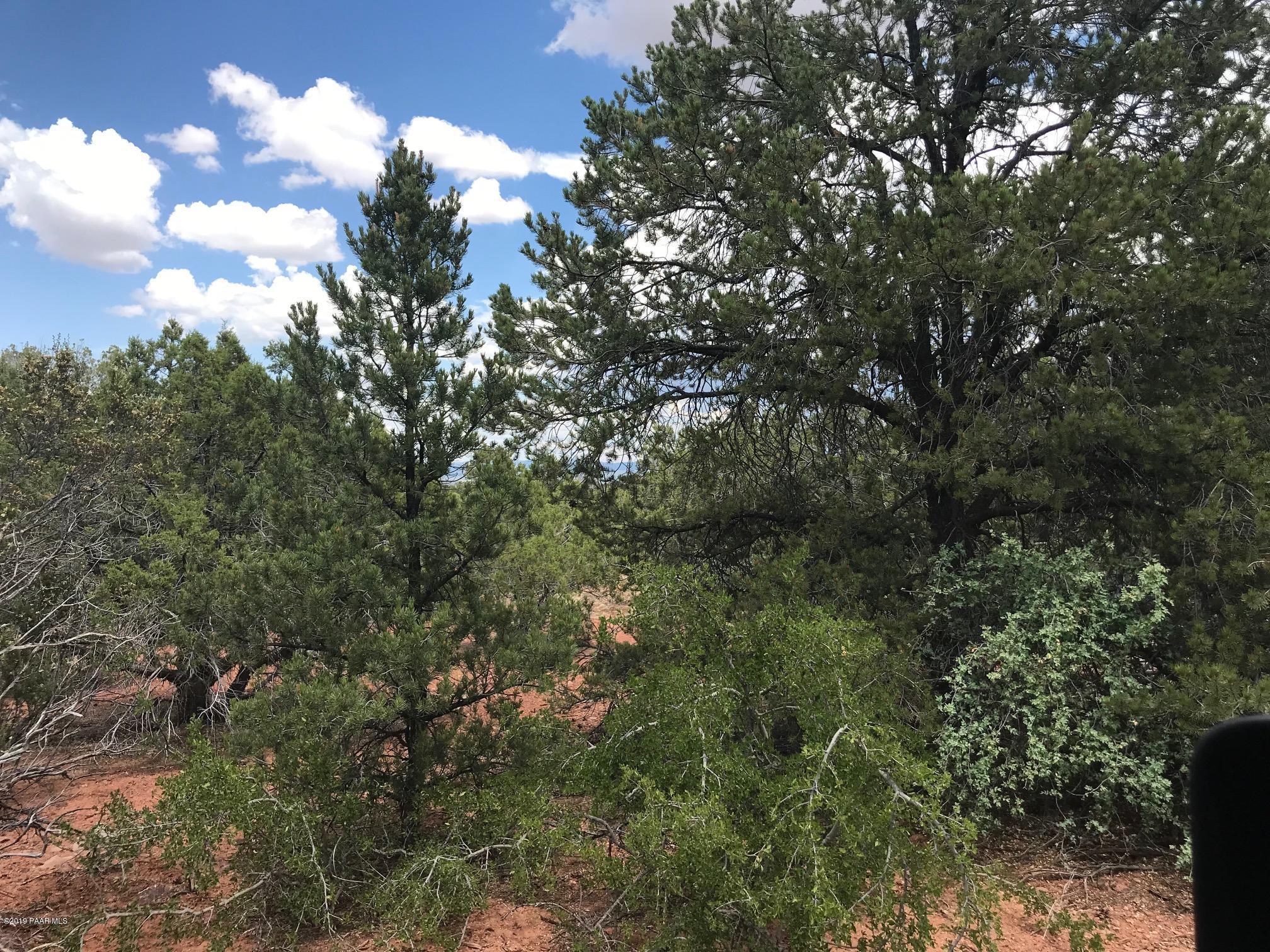 82 East Howling Wolf Road Ash Fork, AZ 86320 - Photo 18 of 18 IMG_7930