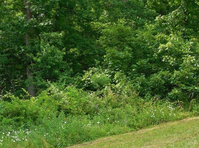 563 Keeton Lake Road Wellington, KY 40387 - Photo 57 of 76 Photo 57