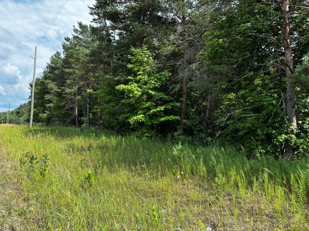 1924152-c0f445e9-70bf-4965-85c8-c842f60b9822.JPG