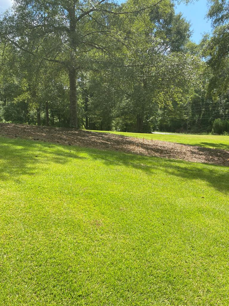 9900 Fortson Road Columbus, GA 31808 - Photo 5 of 29 Gallery Image 5