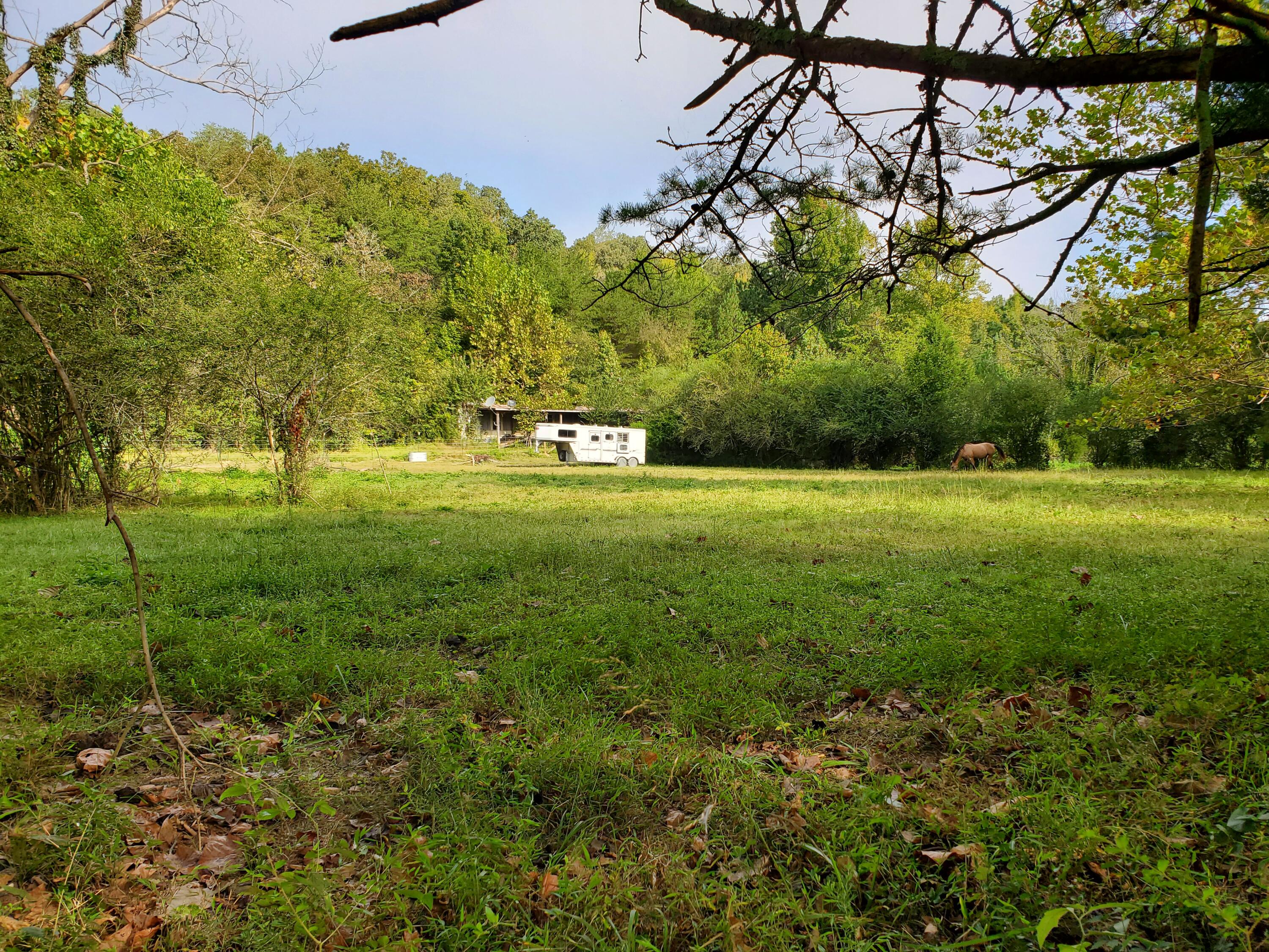 164 Craig Lane Decatur, TN 37322 - Photo 4 of 8 Front / Middle Pasture area
