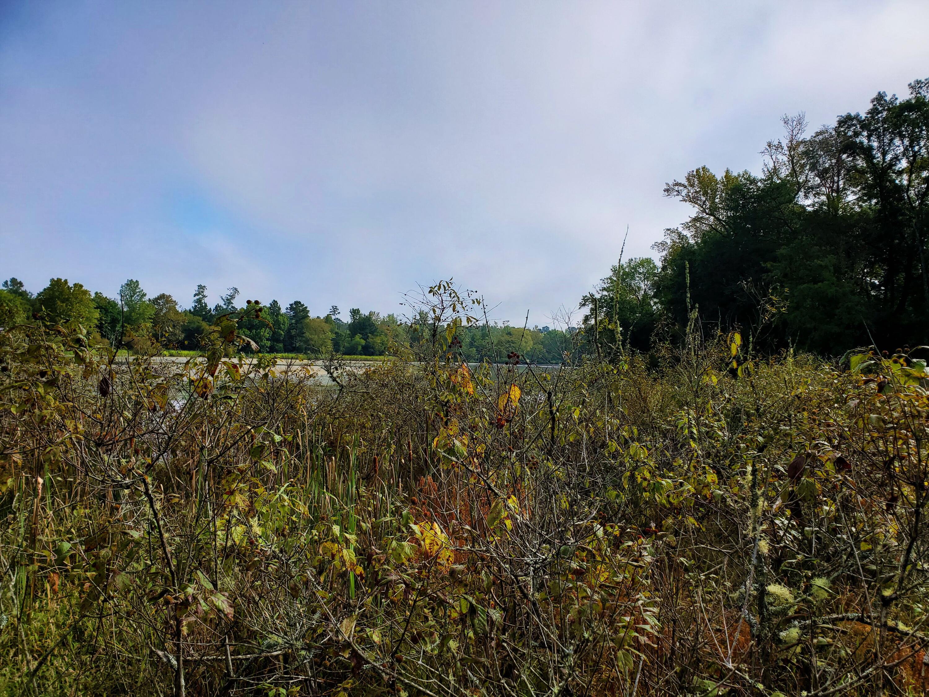 164 Craig Lane Decatur, TN 37322 - Photo 8 of 8 TVA Land