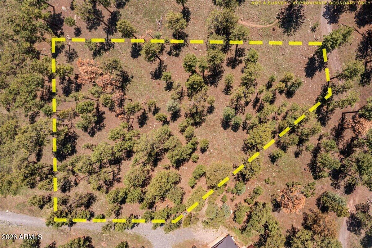 14 County Rd N1062, Unit 15 Greer, AZ 85927 - Photo 15 of 15 15-DJI_0531