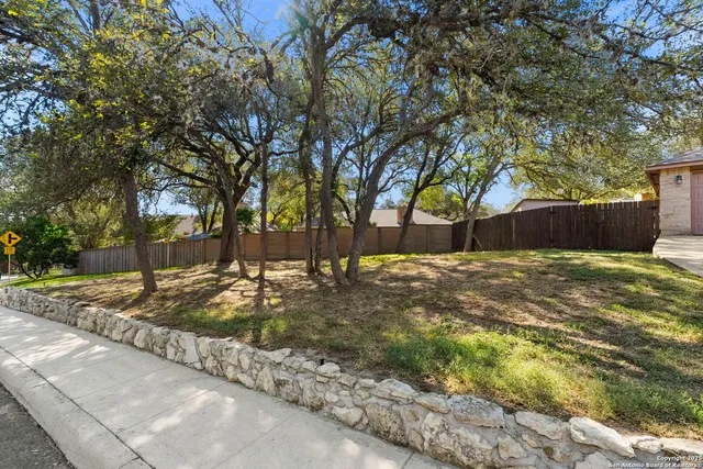 a view of a park with large trees