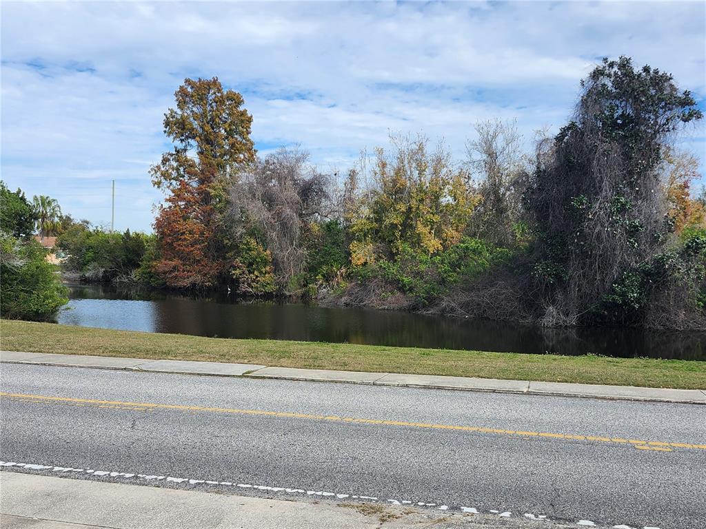 4060 Sail Drive New Port Richey, FL 34652 - Photo 19 of 20 a view of a yard