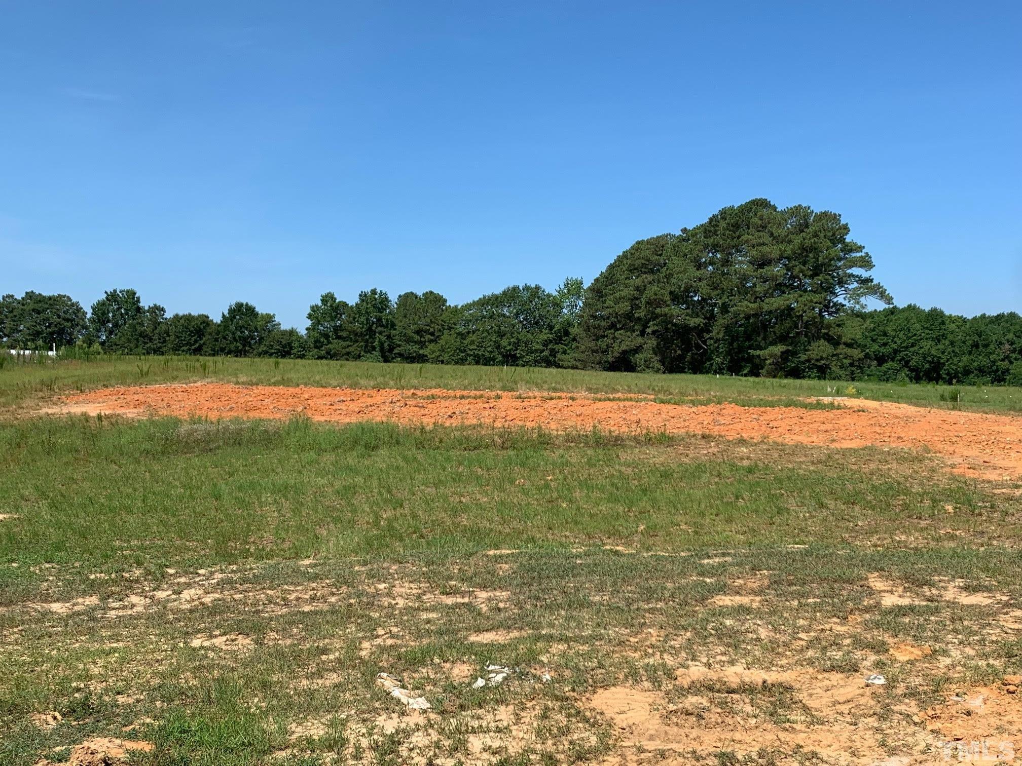 88 Bodacious Lane Benson, NC 27504 - Photo 11 of 13 a view of mountain with lake view